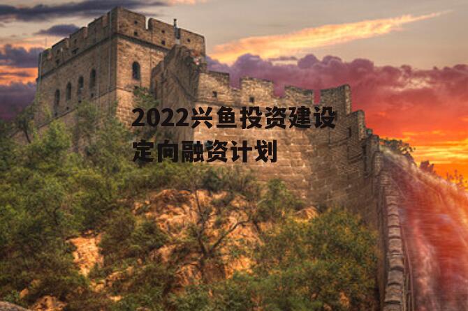 2022兴鱼投资建设定向融资计划