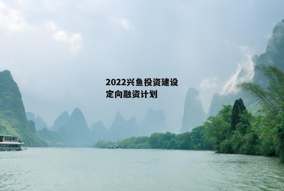 2022兴鱼投资建设定向融资计划