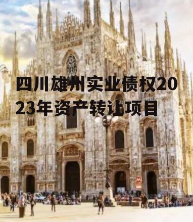 四川雄州实业债权2023年资产转让项目