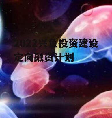 2022兴鱼投资建设定向融资计划