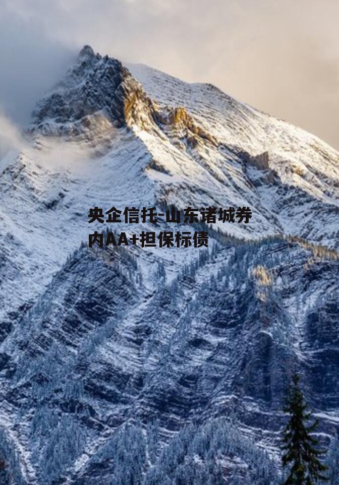 央企信托-山东诸城券内AA+担保标债
