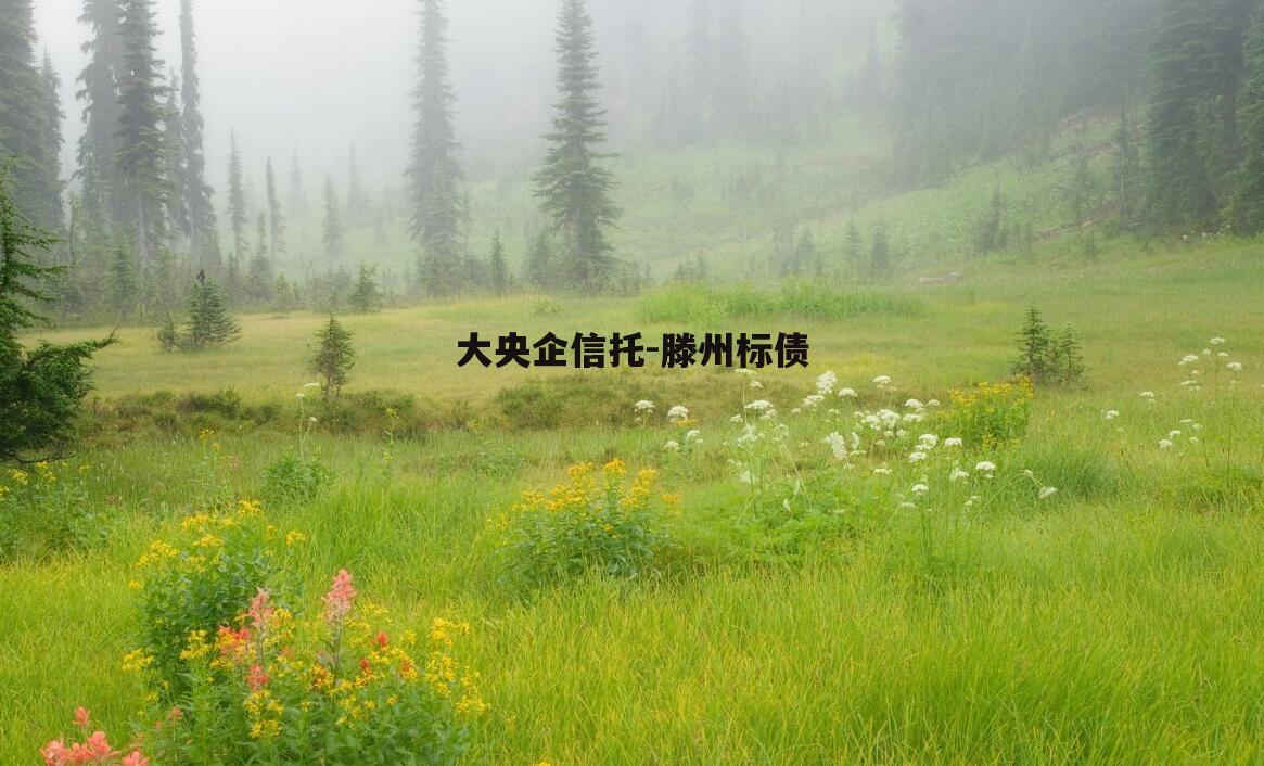 大央企信托-滕州标债