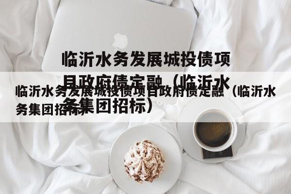 临沂水务发展城投债项目政府债定融（临沂水务集团招标）