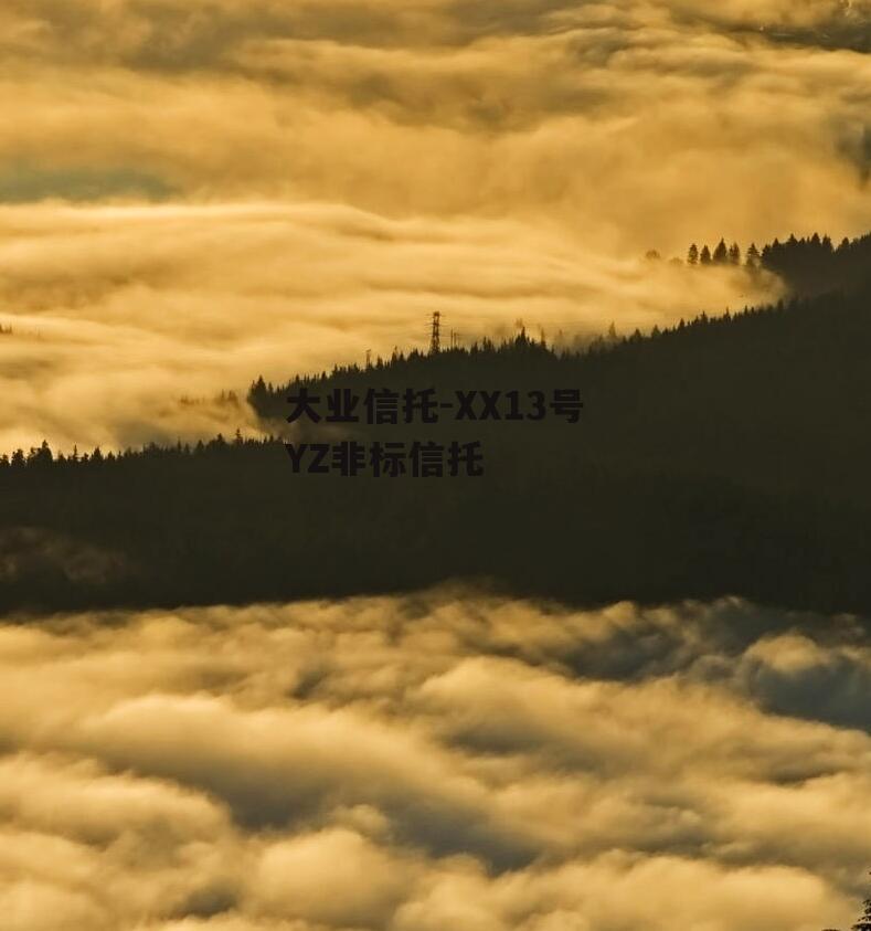 大业信托-XX13号YZ非标信托