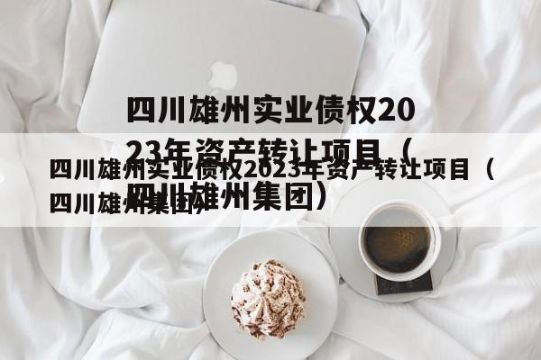 四川雄州实业债权2023年资产转让项目（四川雄州集团）