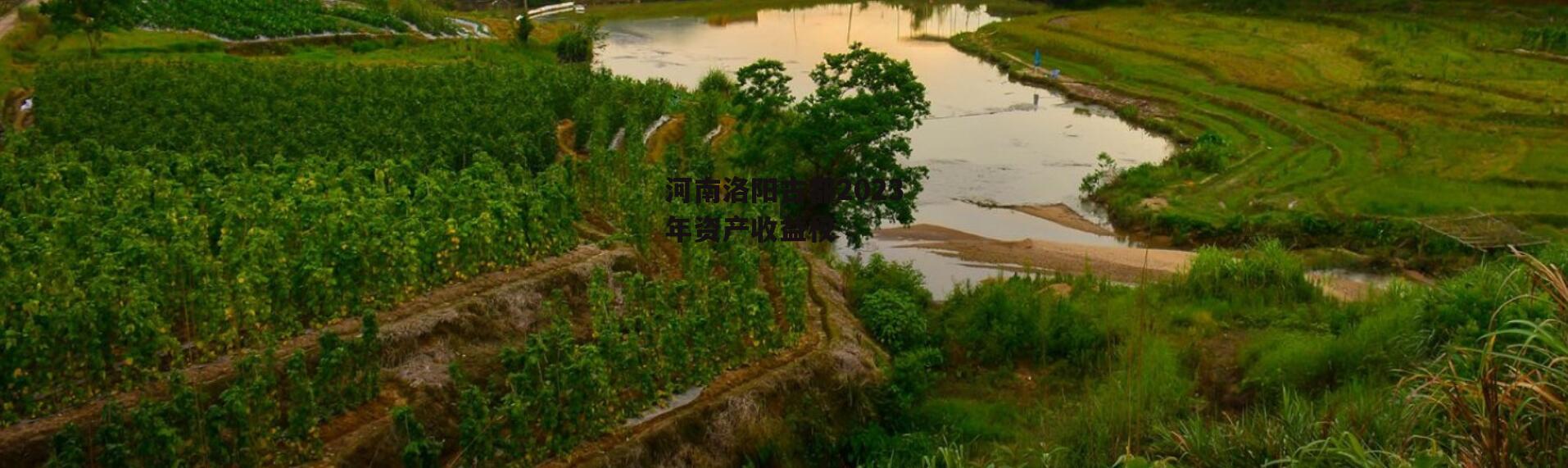 河南洛阳古都2023年资产收益权