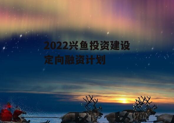 2022兴鱼投资建设定向融资计划