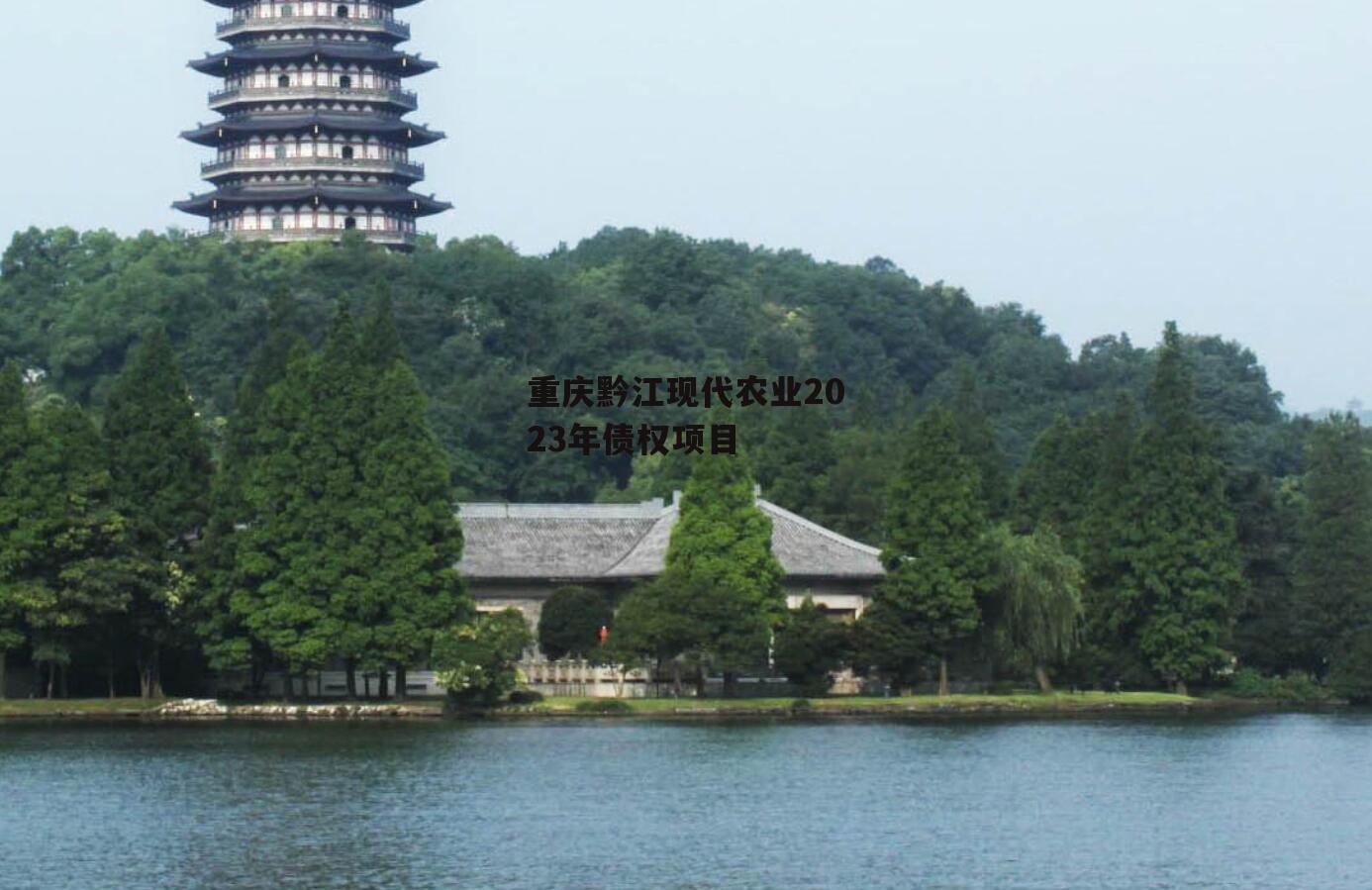 重庆黔江现代农业2023年债权项目
