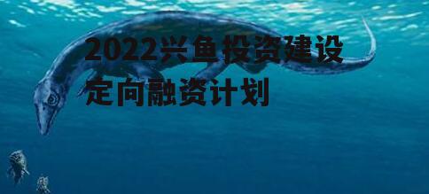 2022兴鱼投资建设定向融资计划