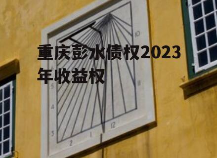 重庆彭水债权2023年收益权