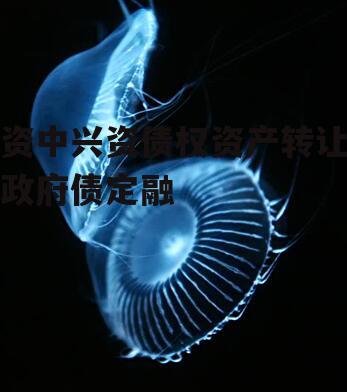 资中兴资债权资产转让政府债定融