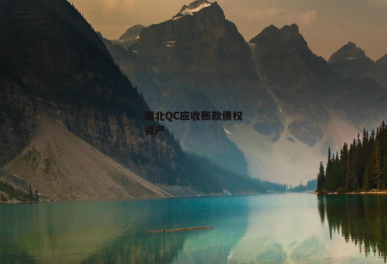 湖北QC应收账款债权资产