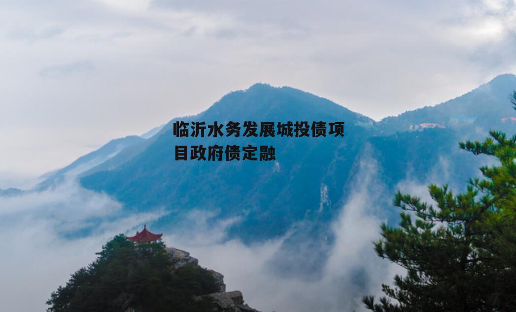 临沂水务发展城投债项目政府债定融