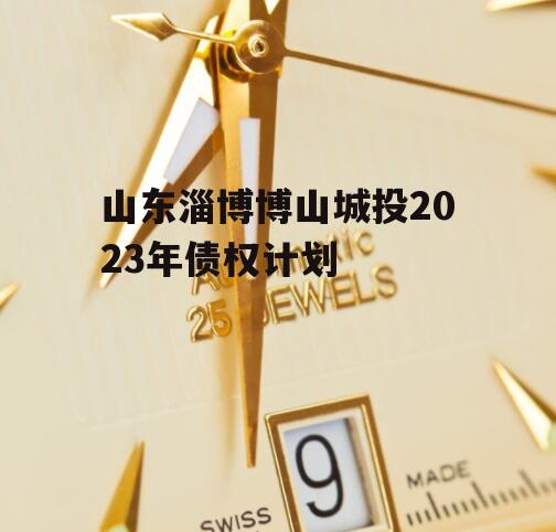 山东淄博博山城投2023年债权计划