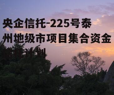 央企信托-225号泰州地级市项目集合资金信托计划