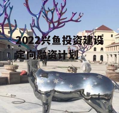 2022兴鱼投资建设定向融资计划