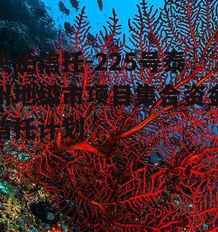 央企信托-225号泰州地级市项目集合资金信托计划