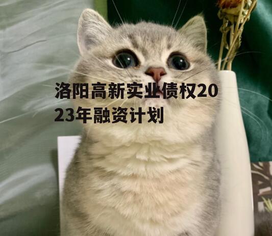 洛阳高新实业债权2023年融资计划