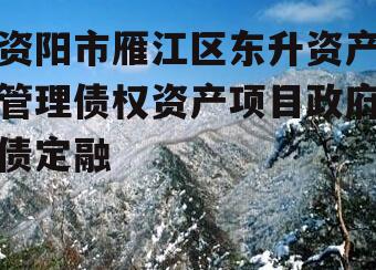 资阳市雁江区东升资产管理债权资产项目政府债定融