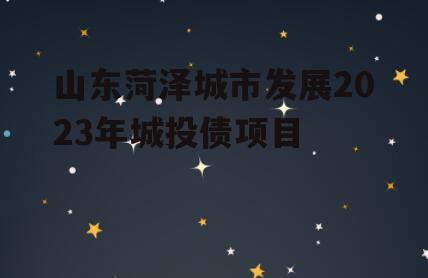 山东菏泽城市发展2023年城投债项目