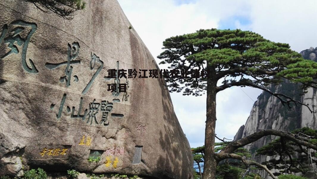 重庆黔江现代农业债权项目