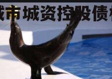 邹城市城资控股债权转让