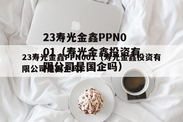 23寿光金鑫PPN001（寿光金鑫投资有限公司是国企吗）