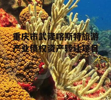 重庆市武隆喀斯特旅游产业债权资产转让项目