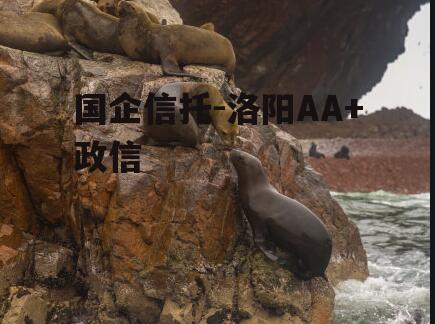国企信托-洛阳AA+政信