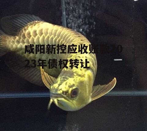 咸阳新控应收账款2023年债权转让