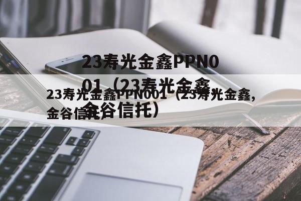 23寿光金鑫PPN001（23寿光金鑫,金谷信托）