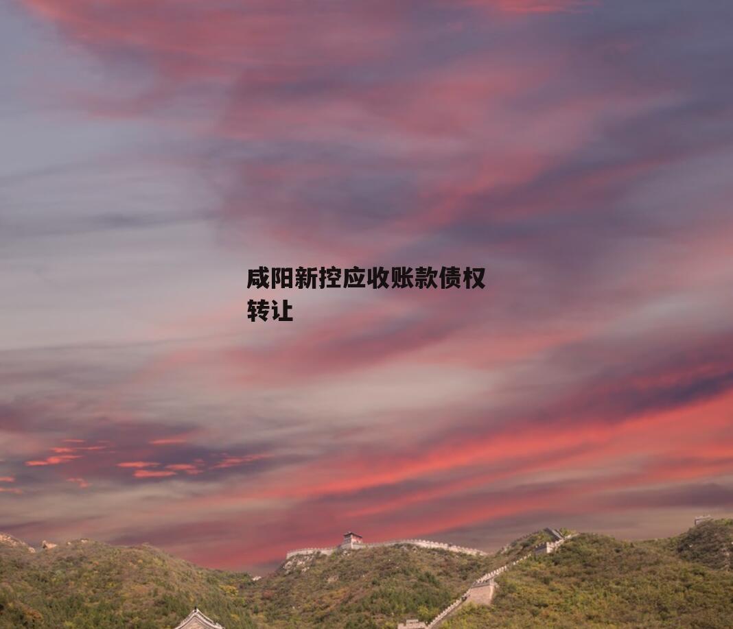 咸阳新控应收账款债权转让