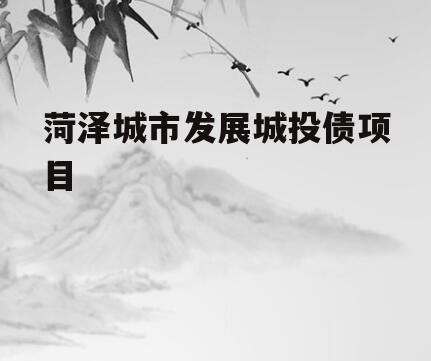 菏泽城市发展城投债项目
