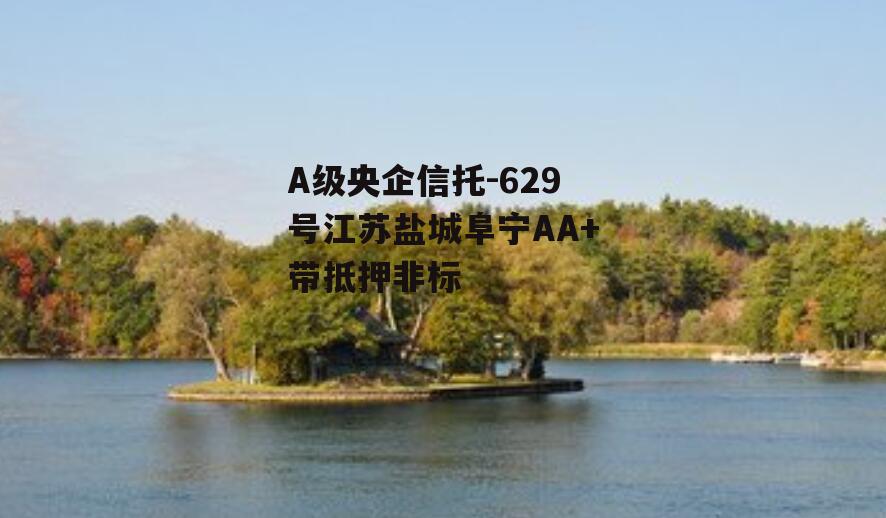 A级央企信托-629号江苏盐城阜宁AA+带抵押非标