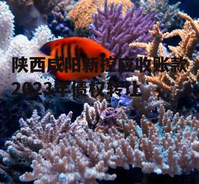 陕西咸阳新控应收账款2023年债权转让