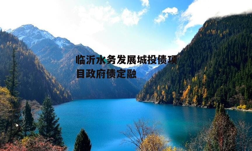 临沂水务发展城投债项目政府债定融
