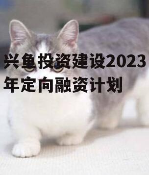 兴鱼投资建设2023年定向融资计划