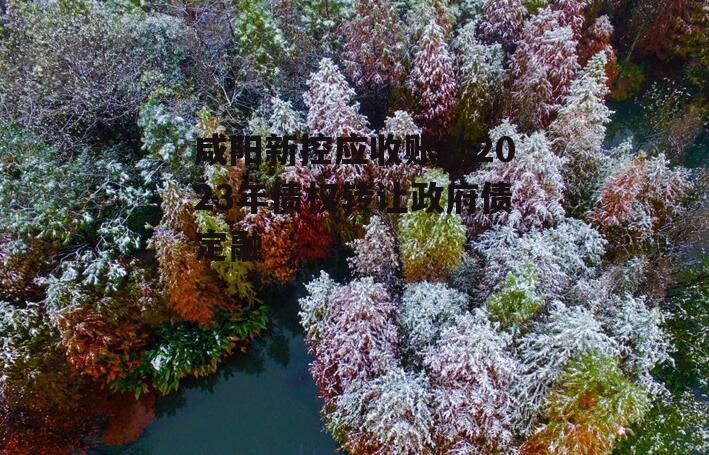 咸阳新控应收账款2023年债权转让政府债定融