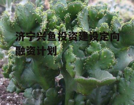 济宁兴鱼投资建设定向融资计划