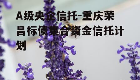 A级央企信托-重庆荣昌标债集合资金信托计划