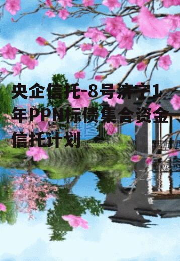 央企信托-8号济宁1年PPN标债集合资金信托计划