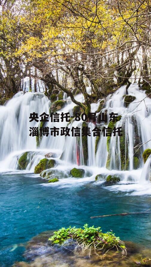 央企信托-80号山东淄博市政信集合信托