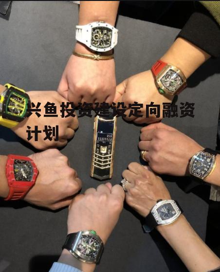 兴鱼投资建设定向融资计划