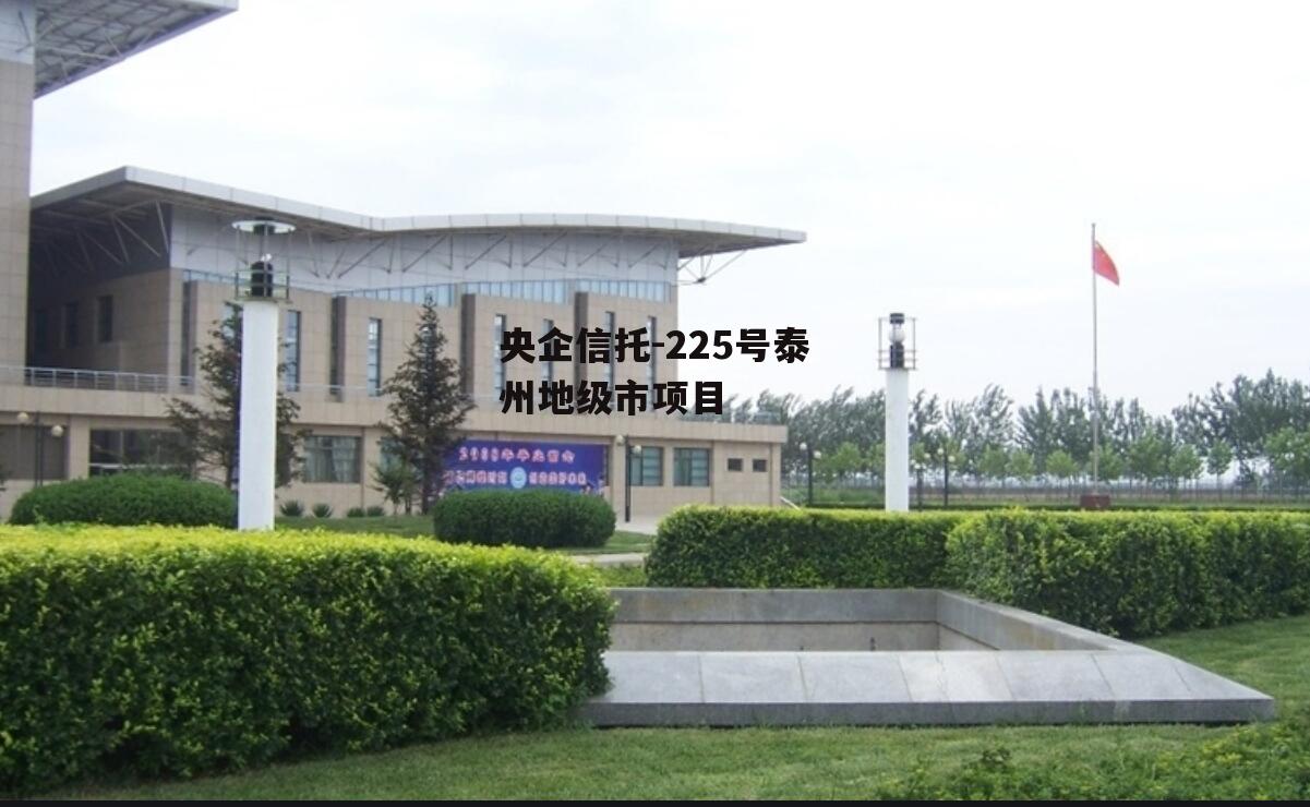 央企信托-225号泰州地级市项目