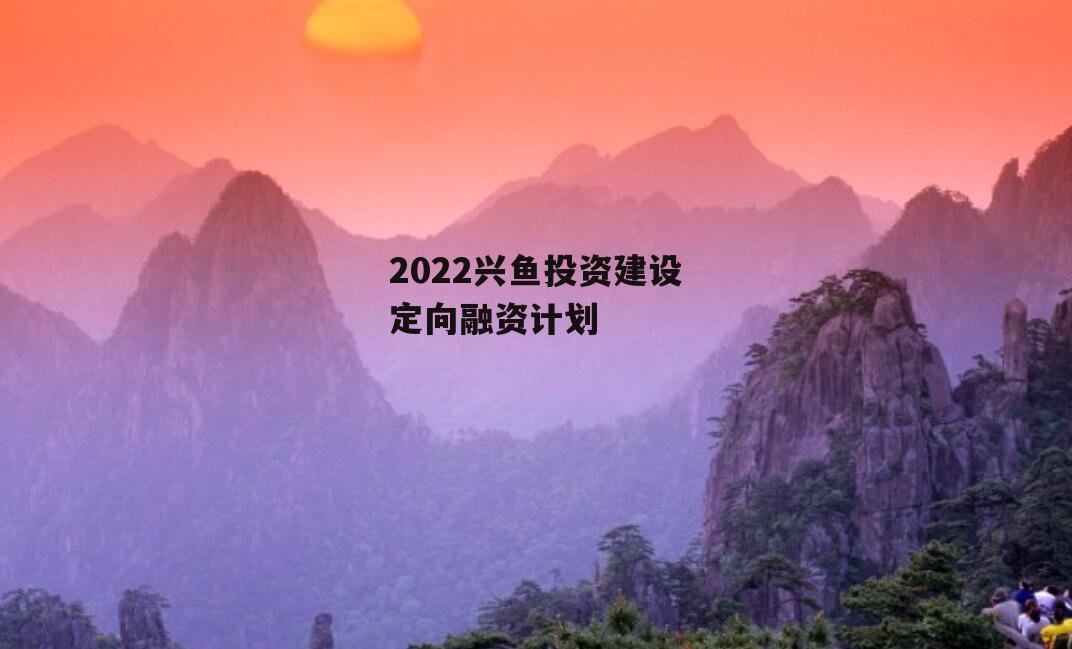2022兴鱼投资建设定向融资计划