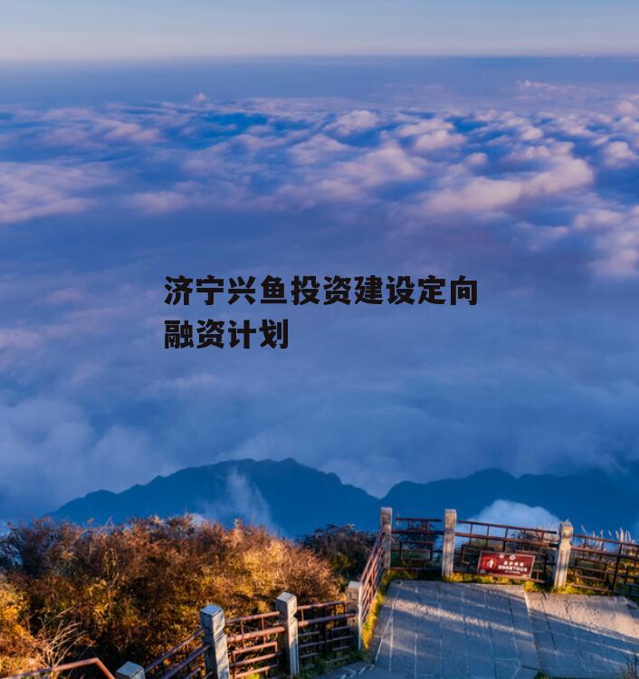 济宁兴鱼投资建设定向融资计划