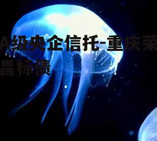 A级央企信托-重庆荣昌标债