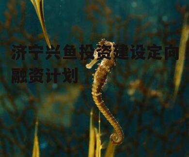 济宁兴鱼投资建设定向融资计划