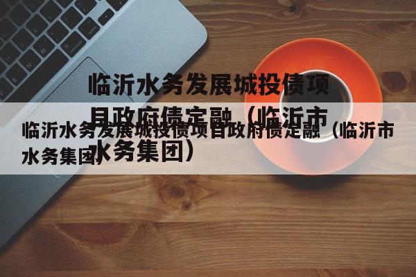 临沂水务发展城投债项目政府债定融（临沂市水务集团）