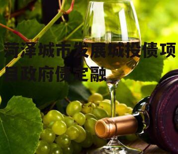菏泽城市发展城投债项目政府债定融